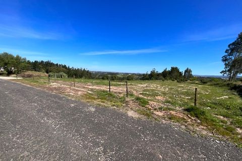 Terra a Vidais, Leiria, Vidais - € 80.000 | Ref: MO002-26 - foto 2