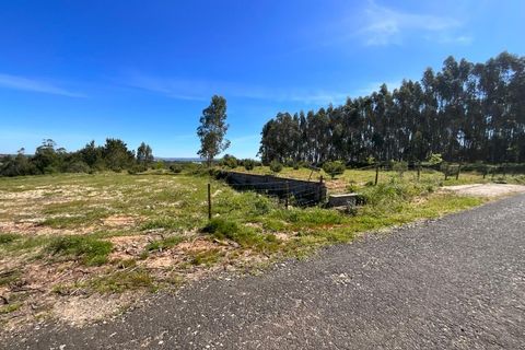 Terra a Vidais, Leiria, Vidais - € 80.000 | Ref: MO002-26 - foto 3