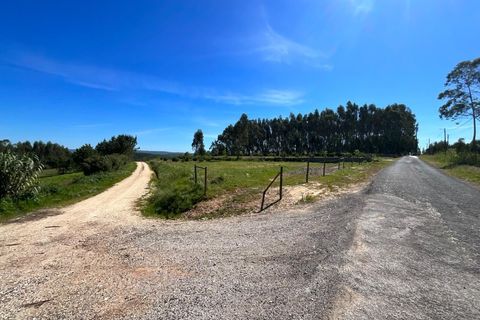 Terra a Vidais, Leiria, Vidais - € 80.000 | Ref: MO002-26 - foto 4