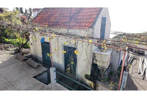 Villa i Ponta do Sol, Madeira, Ponta do Sol - € 280.000 | Ref: C0216-03345 - foto 4