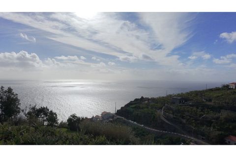 Villa i Ponta do Sol, Madeira, Ponta do Sol - € 280.000 | Ref: C0216-03345 - foto 12