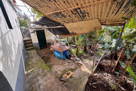 Villa i Ponta do Sol, Madeira, Ponta do Sol - € 280.000 | Ref: C0216-03345 - foto 13
