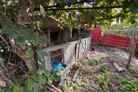 Villa i Ponta do Sol, Madeira, Ponta do Sol - € 280.000 | Ref: C0216-03345 - foto 14