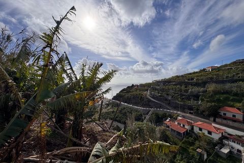 Villa i Ponta do Sol, Madeira, Ponta do Sol - € 280.000 | Ref: C0216-03345 - foto 15