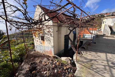 Villa i Ponta do Sol, Madeira, Ponta do Sol - € 280.000 | Ref: C0216-03345 - foto 17