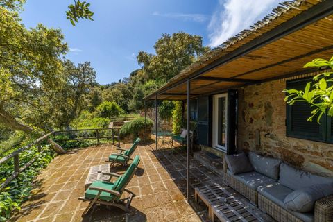 Villa i Monte Argentario, Grosseto, Monte Argentario - € 3.750.000 | Ref: 167 - foto 36