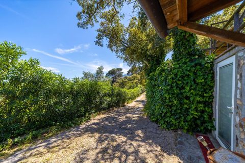 Villa i Monte Argentario, Grosseto, Monte Argentario - € 3.750.000 | Ref: 167 - foto 43