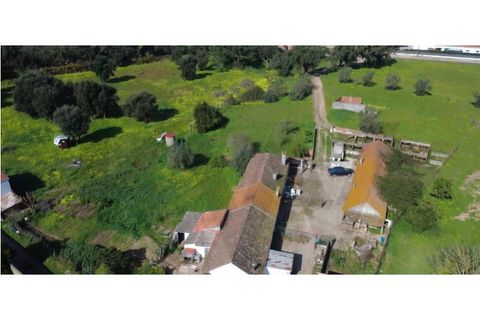 Farm i Quinta do Anjo, Setubal, Quinta do Anjo - € 360.000 | Ref: KWPT-032110 - foto 7