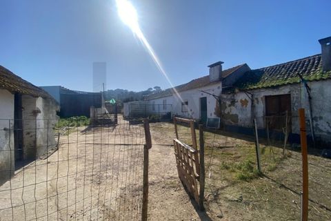 Farm i Quinta do Anjo, Setubal, Quinta do Anjo - € 360.000 | Ref: KWPT-032110 - foto 6
