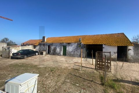 Farm i Quinta do Anjo, Setubal, Quinta do Anjo - € 360.000 | Ref: KWPT-032110 - foto 8