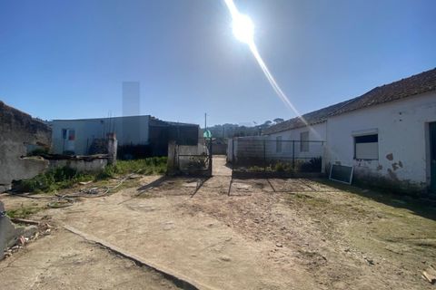 Farm i Quinta do Anjo, Setubal, Quinta do Anjo - € 360.000 | Ref: KWPT-032110 - foto 12