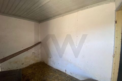 Farm i Quinta do Anjo, Setubal, Quinta do Anjo - € 360.000 | Ref: KWPT-032110 - foto 19