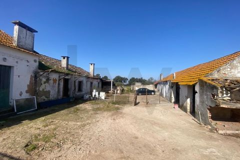 Farm i Quinta do Anjo, Setubal, Quinta do Anjo - € 360.000 | Ref: KWPT-032110 - foto 26