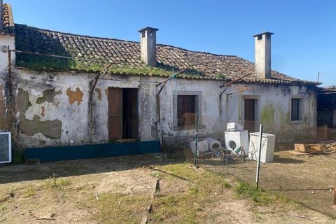 Farm i Quinta do Anjo, Setubal, Quinta do Anjo - € 360.000 | Ref: KWPT-032110 - foto 27