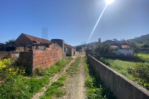 Farm i Quinta do Anjo, Setubal, Quinta do Anjo - € 360.000 | Ref: KWPT-032110 - foto 29