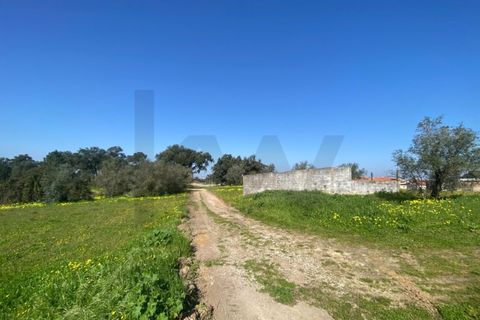 Farm i Quinta do Anjo, Setubal, Quinta do Anjo - € 360.000 | Ref: KWPT-032110 - foto 30