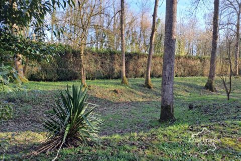 Terra a Macquigny, Aisne, Macquigny - € 23.500 | Ref: 9_7611 - foto 3