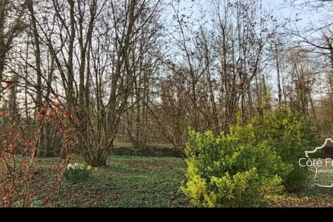 Terra a Macquigny, Aisne, Macquigny - € 23.500 | Ref: 9_7611 - foto 10