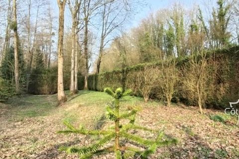 Terra a Macquigny, Aisne, Macquigny - € 23.500 | Ref: 9_7611 - foto 11