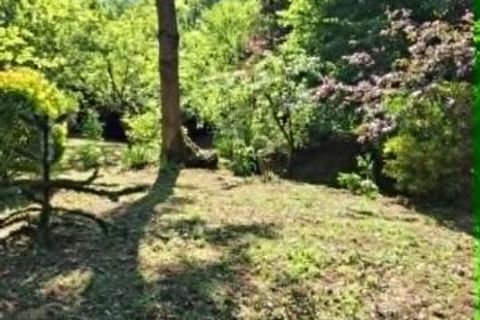 Terra a Macquigny, Aisne, Macquigny - € 23.500 | Ref: 9_7611 - foto 13