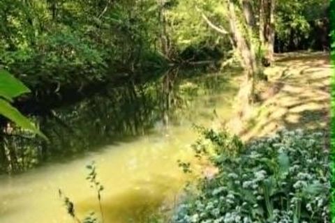 Terra a Macquigny, Aisne, Macquigny - € 23.500 | Ref: 9_7611 - foto 16
