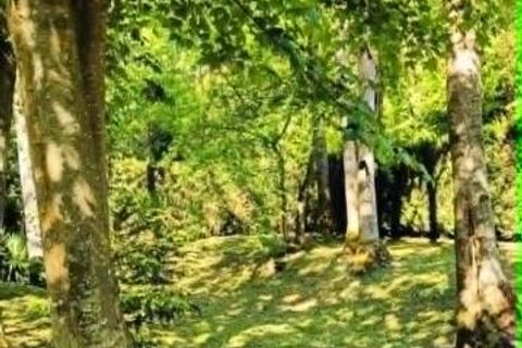Terra a Macquigny, Aisne, Macquigny - € 23.500 | Ref: 9_7611 - foto 17