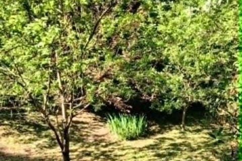 Terra a Macquigny, Aisne, Macquigny - € 23.500 | Ref: 9_7611 - foto 19