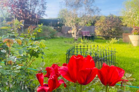Villa a Besancon, Doubs, Besancon - € 290.000 | Ref: 678-BES - foto 7