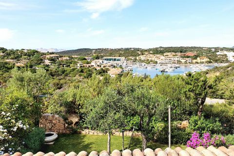 Rækkehus i Arzachena, Sassari, Arzachena - € 1.250.000 | Ref: CBI096-996-440 - foto 2