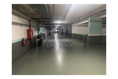 Parkeringsplads i Se, Madeira, Se - € 45.000 | Ref: PLA_279 - foto 18