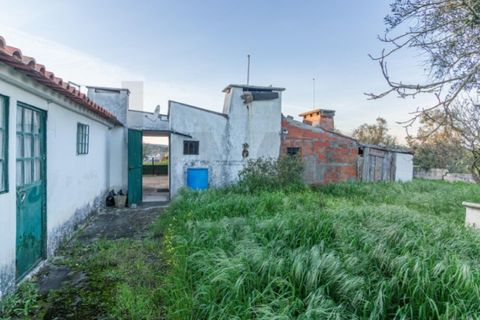 Villa i Carregueira, Santarem, Carregueira - € 150.000 | Ref: KWPT-030876 - foto 20