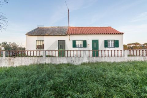 Villa i Carregueira, Santarem, Carregueira - € 150.000 | Ref: KWPT-030876 - foto 21