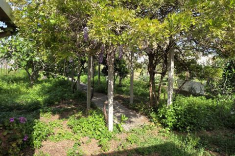 Lejlighed i Milazzo, Messina, Milazzo - € 64.000 | Ref: MA010 - foto 19