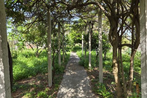 Lejlighed i Milazzo, Messina, Milazzo - € 64.000 | Ref: MA010 - foto 20