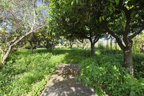 Lejlighed i Milazzo, Messina, Milazzo - € 64.000 | Ref: MA010 - foto 21