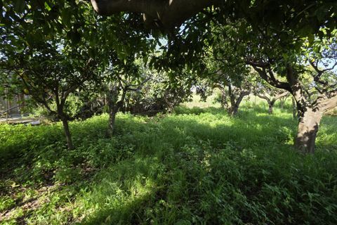 Lejlighed i Milazzo, Messina, Milazzo - € 64.000 | Ref: MA010 - foto 22