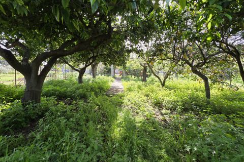 Lejlighed i Milazzo, Messina, Milazzo - € 64.000 | Ref: MA010 - foto 23