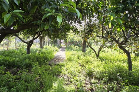 Lejlighed i Milazzo, Messina, Milazzo - € 64.000 | Ref: MA010 - foto 24