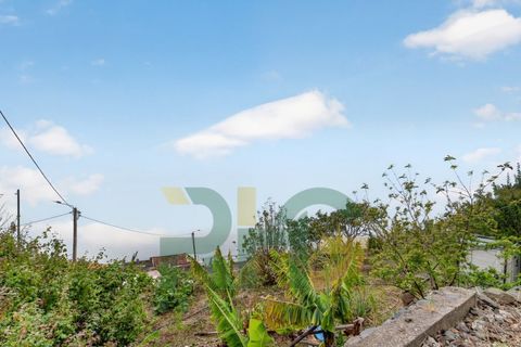 Villa i Arco da Calheta, Madeira, Arco da Calheta - € 470.000 | Ref: RHG26025 - foto 29