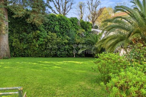 Villa i Alvalade, Setubal, Alvalade - € 3.990.000 | Ref: PROP-34449 - foto 17