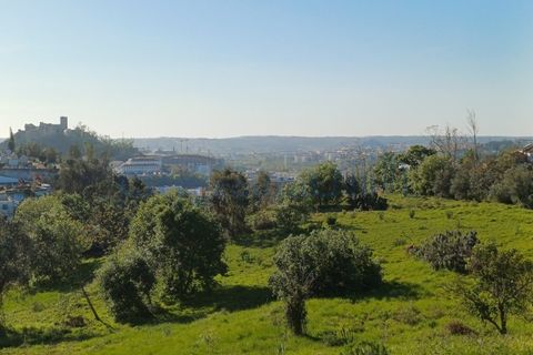 Helårsgrund i Leiria, Leiria, Leiria - € 595.000 | Ref: 6157 - foto 3
