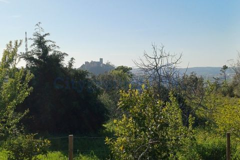 Helårsgrund i Leiria, Leiria, Leiria - € 595.000 | Ref: 6157 - foto 4