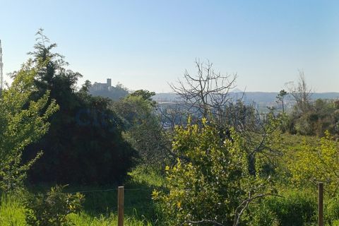 Helårsgrund i Leiria, Leiria, Leiria - € 595.000 | Ref: 6157 - foto 17