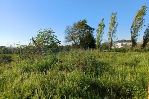 Helårsgrund i Leiria, Leiria, Leiria - € 595.000 | Ref: 6157 - foto 11