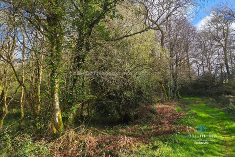 Terra a Priziac, Morbihan, Priziac - € 10.500 | Ref: 7228 - foto 2