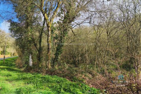 Terra a Priziac, Morbihan, Priziac - € 10.500 | Ref: 7228 - foto 3