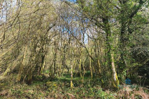 Terra a Priziac, Morbihan, Priziac - € 10.500 | Ref: 7228 - foto 4