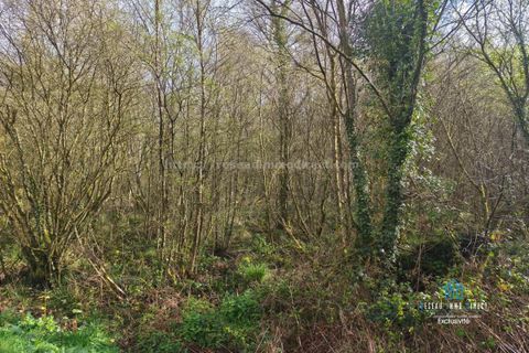 Terra a Priziac, Morbihan, Priziac - € 10.500 | Ref: 7228 - foto 5
