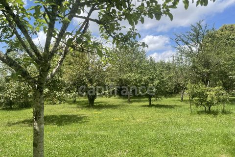Villa i Arces-Dilo, Yonne, Arces-Dilo - € 159.500 | Ref: 340933563263 - foto 38
