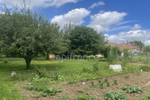 Villa i Arces-Dilo, Yonne, Arces-Dilo - € 159.500 | Ref: 340933563263 - foto 42